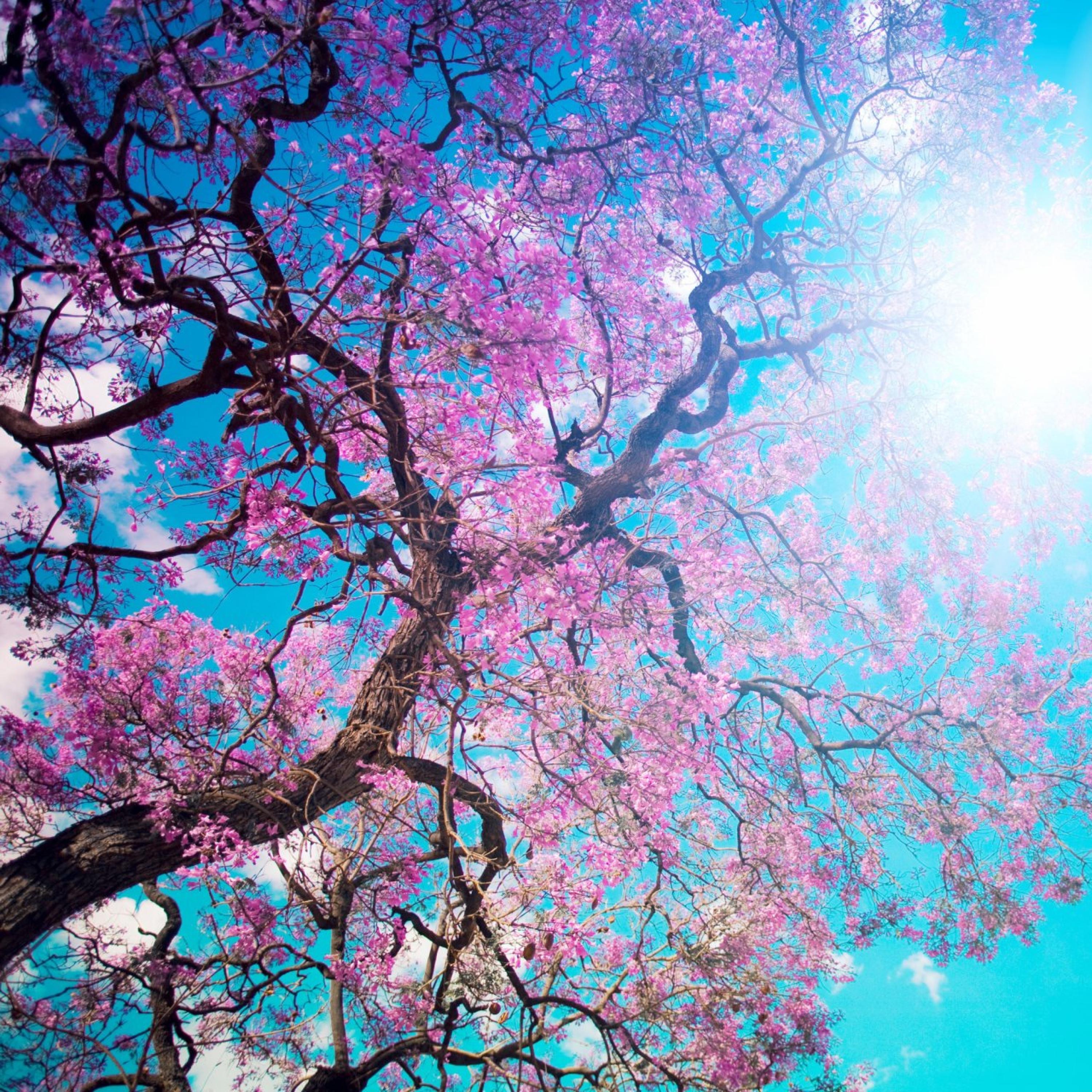 Dont Trip Take a Trip - Single