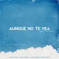Aunque No Te Vea