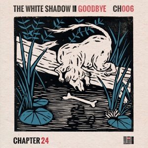 Goodbye - Single