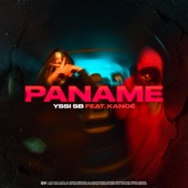 Paname artwork