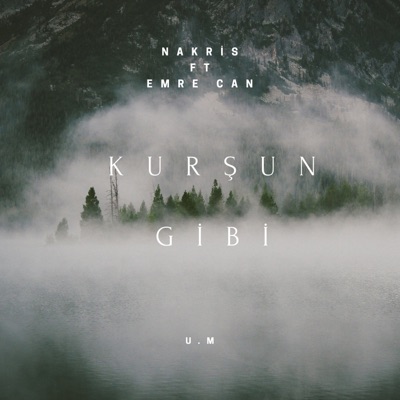 Kurşun Gibi (feat. Emre Can) - Single