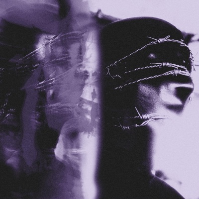 enmity (feat. James Freeman) [redux] [redux] - Single