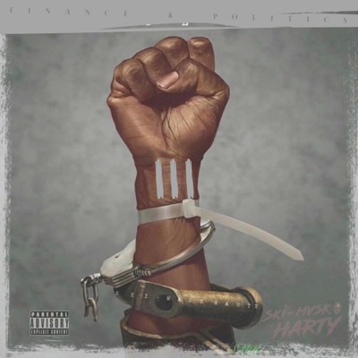 Finance & Politics V3