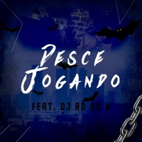 Desce Jogando - Single - Dj Rayan