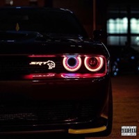 Fog Lights - Single - EDF