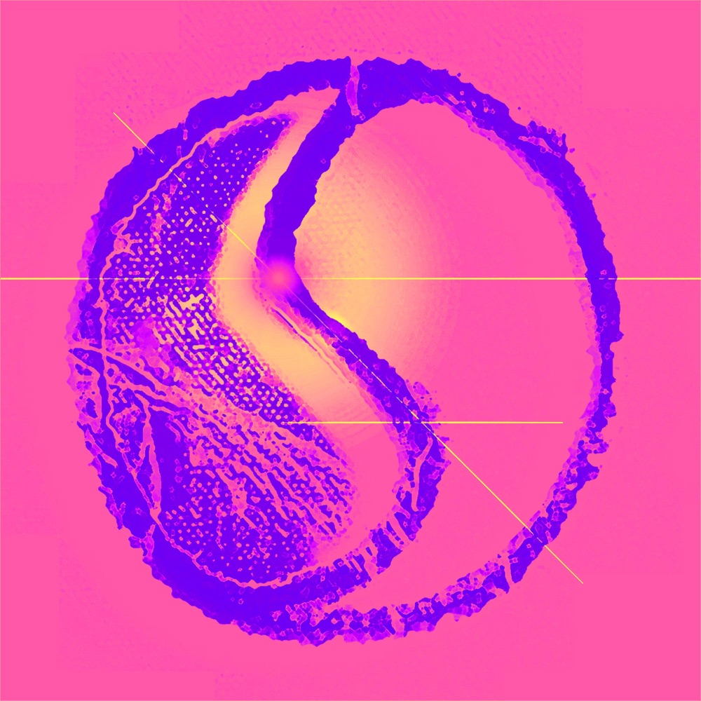 Обложка альбома «Vitruvian (Edit) - Single» — Reza Safinia