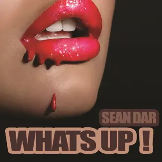 What's Up! (Radio Edit) by Sean Dar song reviws