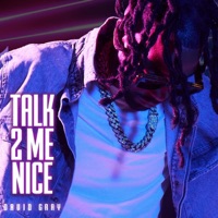 Talk 2 Me Nice - Single - David S Gray