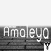 Amaleya (Remix) - Single