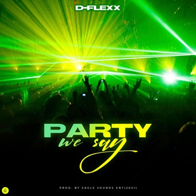 Party We Say (Official Audio) [Official Audio] - Single