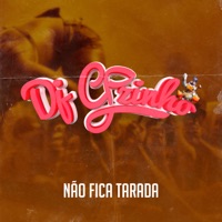 Não Fica Tarada - Single - Dj CPzinho & Mc Rennan