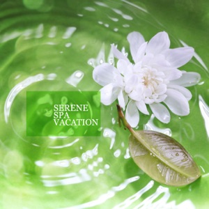 Serene Spa Vacation – Invigorating Spa Treatment with Healing Nature Sounds, Relaxing Experience for Your Senses