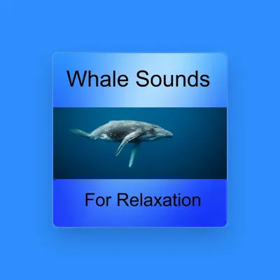 Listen to Whale Sounds Relaxation, watch music videos, read bio, see tour dates & more!