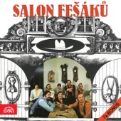 Salon Fešáků artwork