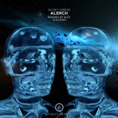 Secret Mirror artwork
