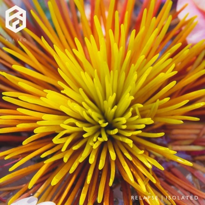 Relapse  Isolated - Single