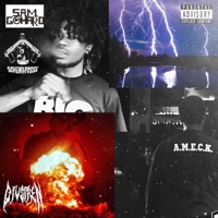 Cheffin on Dat Blunt (feat. S.A.M GoHard & a.M.E.C.K) - Single - Djvsiren