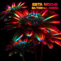 Esta Noche (feat. Aneesa) - Single - Bastian