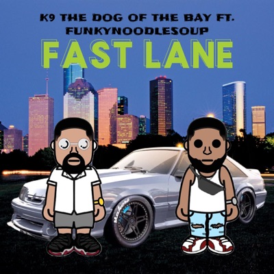 FAST LANE (feat. Funkynoodlesoup) - Single