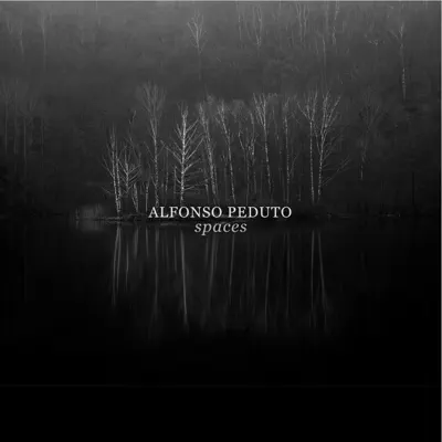 Hör dir „Spaces“ von Alfonso Peduto an