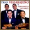 En Mi Viejo San Juan - Trio Vegabajeño & Fernando Alvarez lyrics