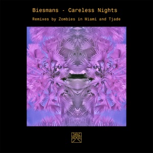Careless Nights - Single