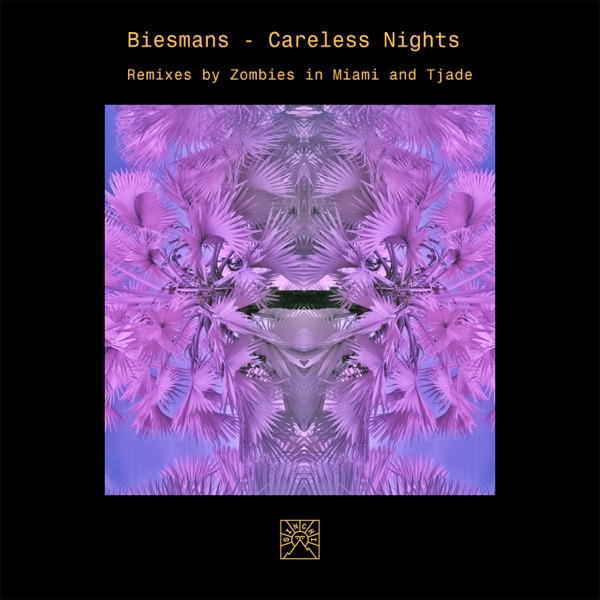 Careless Nights - Single