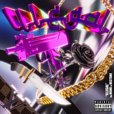 Illegal - Single
