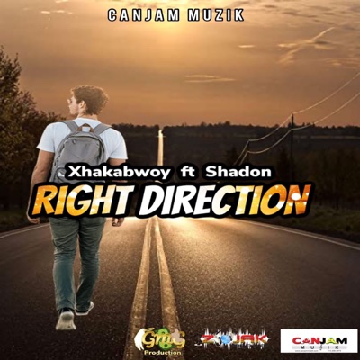 RIGHT DIRECTION (feat. Shadon music) - Single