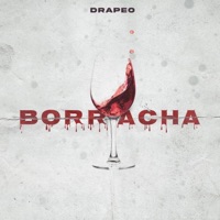 Borracha - Single - Drapeo