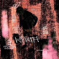 Enigma - Single - 10g.Eli