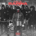 Flow da rapina - Single