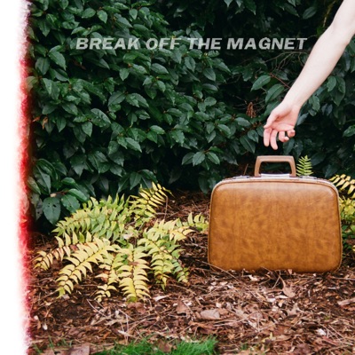 Break Off the Magnet - Single