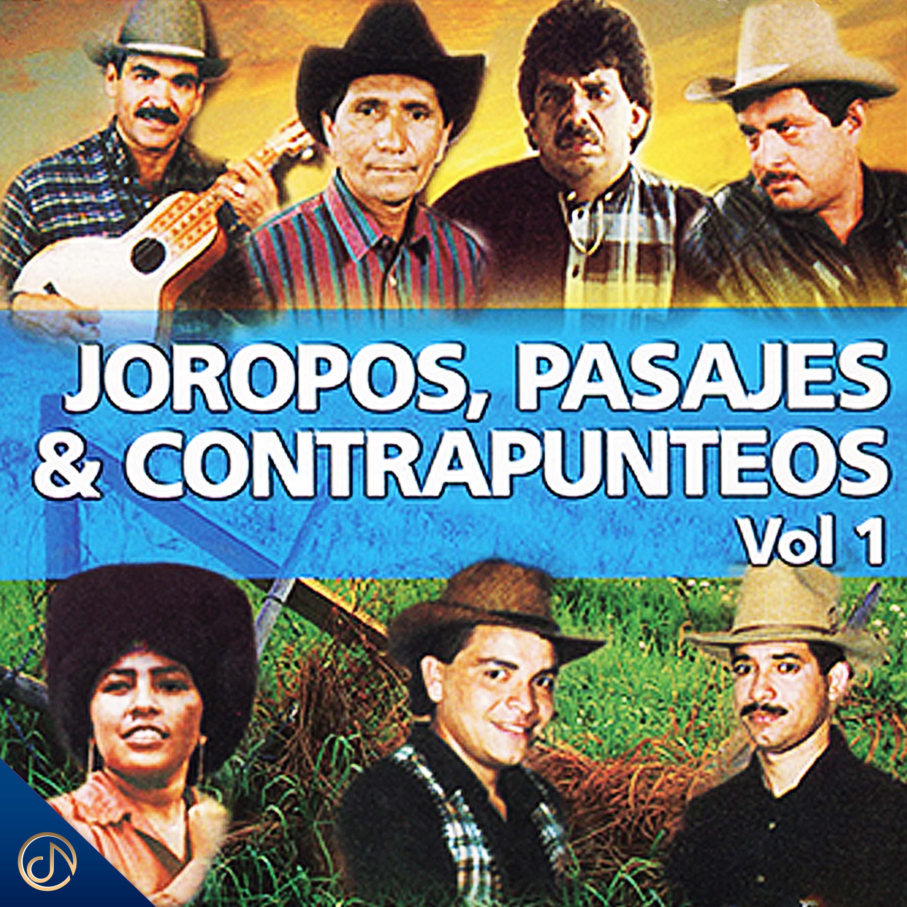 Joropos, Pasajes & Contrapunteos Vol. 1