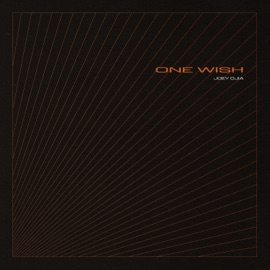 One Wish JOEY DJIA