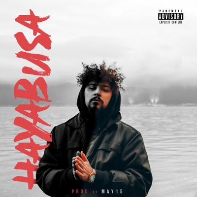 HAYABUSA (feat. MAY15) - Single