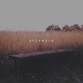 Silenzio artwork