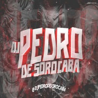 Vou Dando Linguada Antes De Soca (feat. MC MN & MC Renatinho Falcão) - Single - dj pedro de sorocaba
