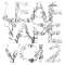 Coasting (feat. Alex Etchart) - Plastica lyrics