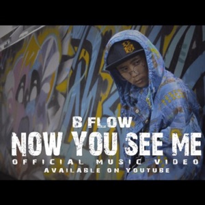 Now You See Me