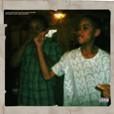 Never Give Up! The Album