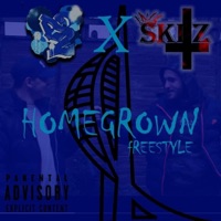 Homegrown (feat. Skitz) - Single - Po2