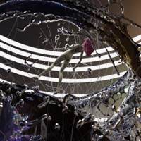 Daddy Issues - Single - EXZO BLOOM