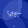 Sound Quelle - Deep Chicken