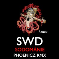 Sodománie (Phoenicz RMX) [Phoenicz RMX] - Single - Swd
