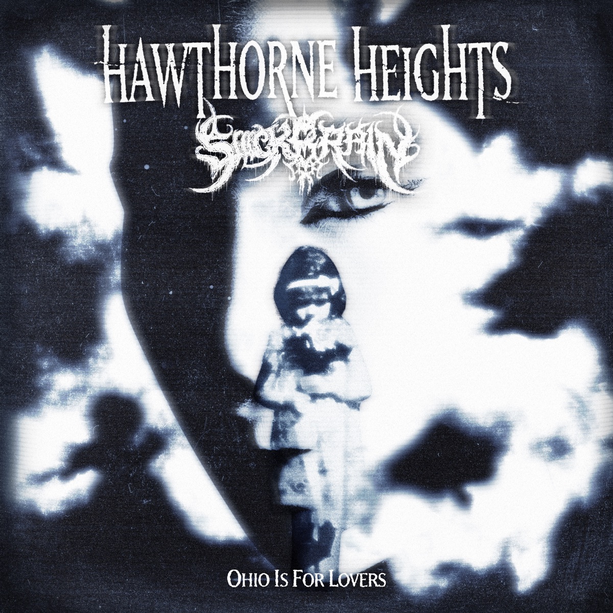 Hawthorne Heights If Only You Were Lonely