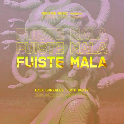 Fuiste Mala - Single