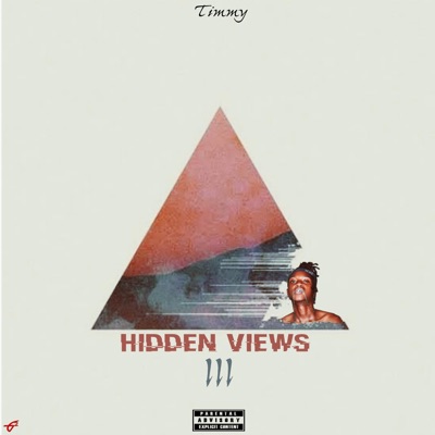 Hidden Views III