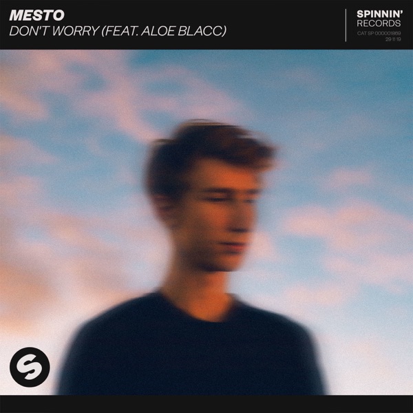 Don't Worry (feat. Aloe Blacc) - Single - Mesto