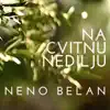 Na cvitnu nedilju